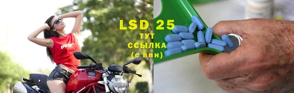 ECSTASY Алзамай