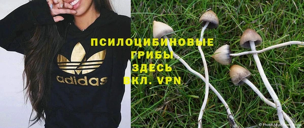 альфа пвп Няндома