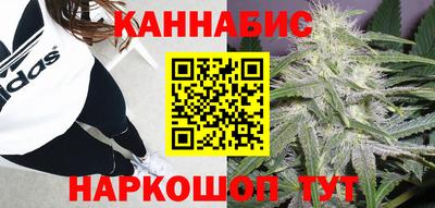 крисы Нальчик