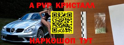 крисы Нальчик