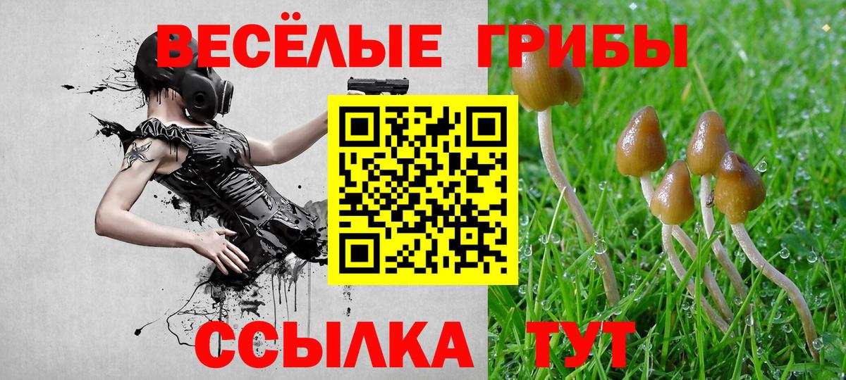 Галлюциногенные грибы мицелий  Вход с VPN  цены наркотик  Ухта  Псилоцибиновые грибы MAGIC MUSHROOMS 