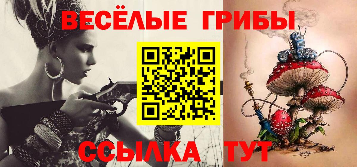 Галлюциногенные грибы Psilocybine cubensis Ухта